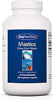 Allergy Research Mastica - Mastic Gum / Мастика підтримки здоров'я шлунку 240 капсул