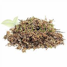 Бузок квіти 50 гр.