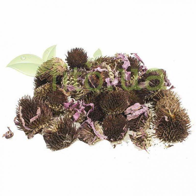 Ехінацея квіти 50 гр., фото 1