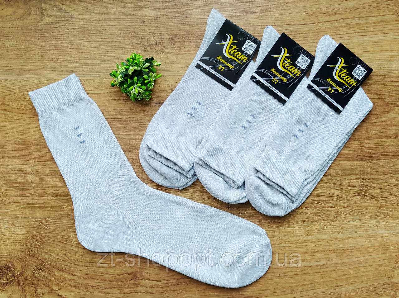 Шкарпетки чоловічі літні високі в сітку сірий Х/Б Xteam (602) р.25-29