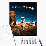 Картина за номерами Стадії світу 40*50 BrushMe GX40358, фото 2