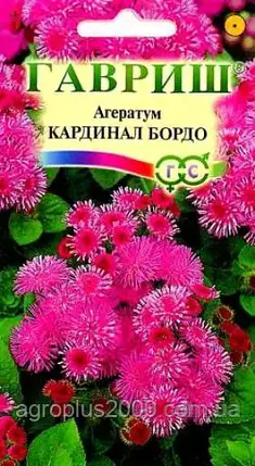 Насіння Агератум Кардинал Бордо 0,1 грама Гавріш, фото 1