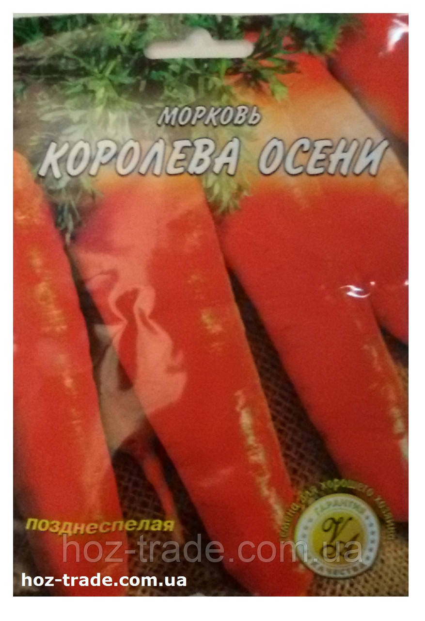 Насіння моркви Королева осені позднесмече, 20 г. для тривалого зберігання