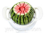 Ніж для нарізки динь і кавунів Taglia Melone, діаметр 19 див., фото 4