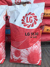 ЛГ 5580 Лімагрейн насіння соняшника