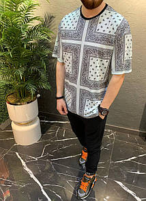 Футболка чоловіча біла повсякденна з довгим рукавом абстрактивний принт Smash White