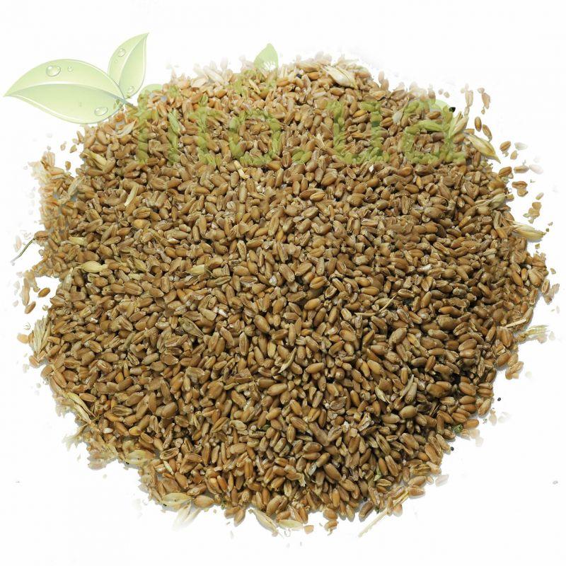 Пшениця зерно 250 гр.