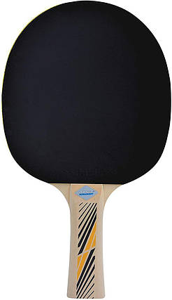Ракетка для настільного тенісу п'ять шарів дерева Donic Legends 300 FSC ITTF товщина накладки 1,0 мм, фото 3