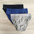 Труси бавовна для підлітка бавовна Польща, Natural Club боксерки шорти для хлопчика, фото 5