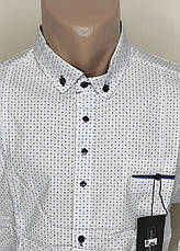 Сорочка чоловіча G-Port vd-0009 біла батальна в принт стрейч коттон Туреччина трансформер, фото 3