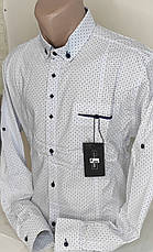 Сорочка чоловіча G-Port vd-0009 біла батальна в принт стрейч коттон Туреччина трансформер, фото 4