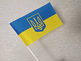 Маховильний прапорець України на паличці 12 х 20 см., фото 4