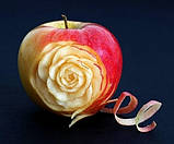 Кондитерський інструментарій — Набір для карвінгу, фото 4