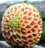 Кондитерський інструментарій — Набір для карвінгу, фото 7