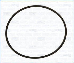 Прокладка термостата Renault Trafic, Opel Vivaro 1.9, 2001-2006, Ajusa 24034300