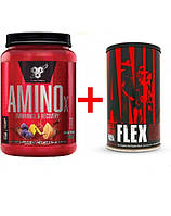 Комплект Аминокислота BSN Amino X 1.01 кг Фруктовый пунш + Хондропротектор ANIMAL FLEX 44 пак (236696)