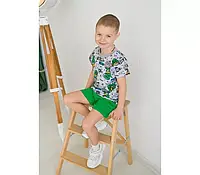 Комплект летний для мальчика футболка и шорты Кулир рост 110-116 см 2241
