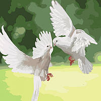 Картина по номерам Белоснежные голуби КНО4149 40x40см Идейка