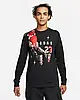 Футболка Jordan Brand Hol Ls Crew (DC9793-010), фото 3
