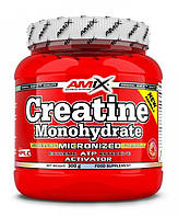 Amix Creatine Monohydrate 300g