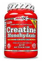 Amix Creatine Monohydrate 1000g