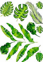 Вафельная картинка Пальмовые листья А4 (p0801)