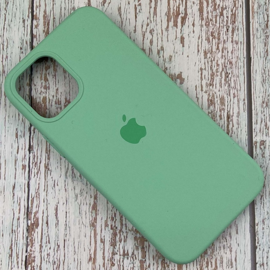 Силіконовий Чохол на iPhone 12 Pro Max 6.7" із закритим низом Silicone Case 100% Зелений, фото 1