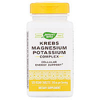 Цикл Кребса, Магний и Калий Хелат, Krebs Magnesium Potassium, Nature's Way, 120 таблеток