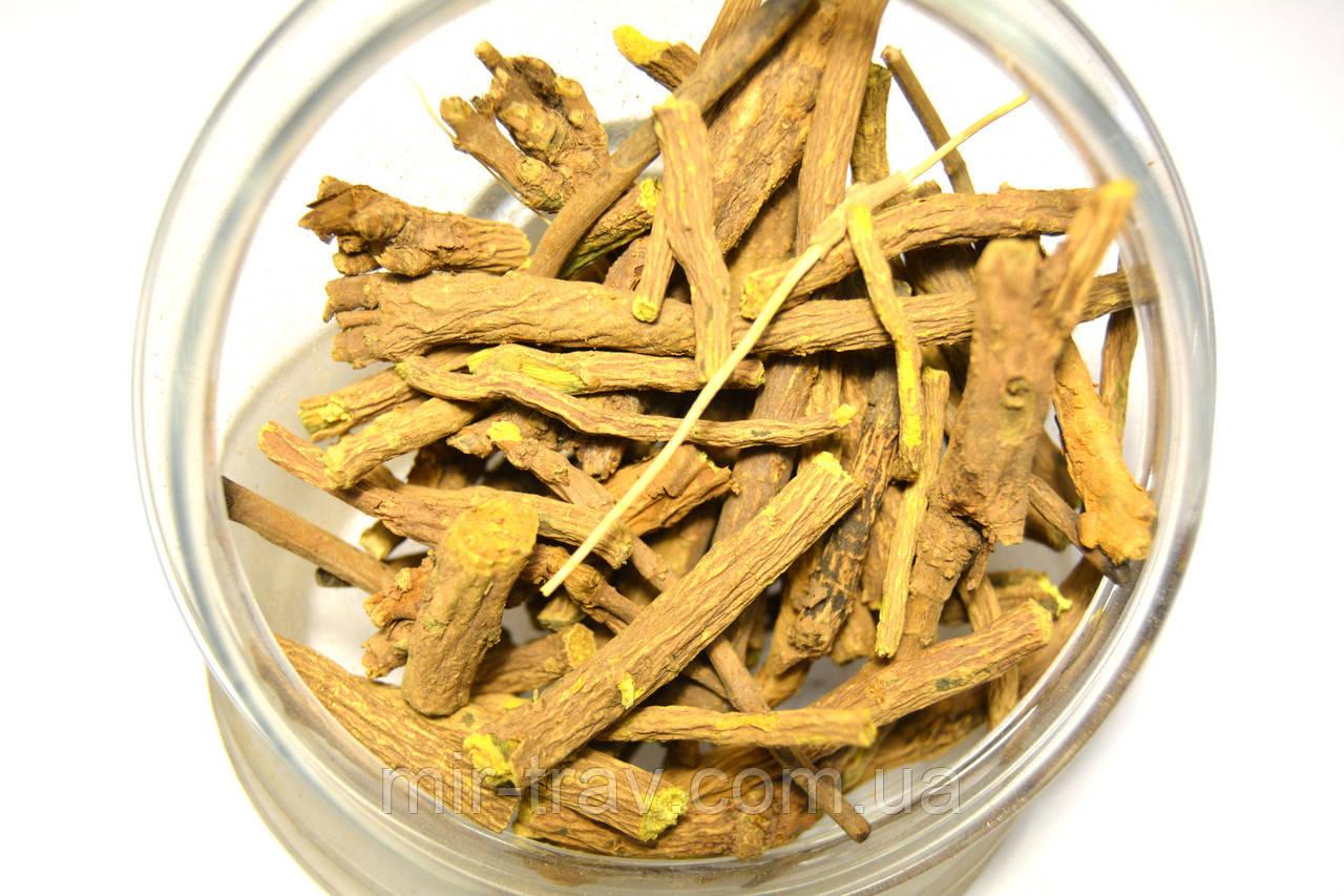 Шоломник байкальський корінь