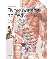 Путеводитель по телу, практическое руководство по пальпации тела Эндрю Бил 2017г.