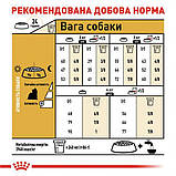 Сухий корм для дорослих собак Royal Canin Yorkshire Adult 0.5 кг, фото 4