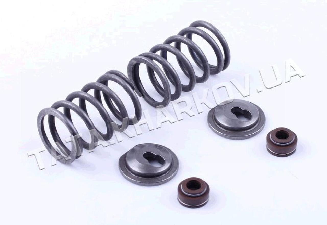 Клапанний механізм м/б (збори) 177F/ 188F (9/13Hp) (на 2 клапани) ST-2