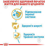Сухий корм для цуценят Royal Canin Yorkshire Puppy 0.5 кг, фото 6