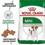 Сухий корм для дорослих собак Royal Canin Mini Adult 0.8 кг, фото 5