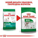 Сухий корм для дорослих собак Royal Canin Mini Adult 0.8 кг, фото 6