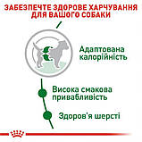 Сухий корм для дорослих собак Royal Canin Mini Adult 0.8 кг, фото 4