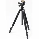 Штатив професійний Slik Pro 500 HD II