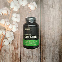 Дата 09/23 ON Creatine 2500 Optimum Nutrition 100 caps. креатин оптимум нутришн