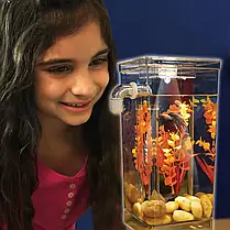 Акваріум самоочисний "My Fun Fish", фото 3