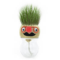 Набор для выращивания экокуб Grow Grass man Травянчик M+ GG01