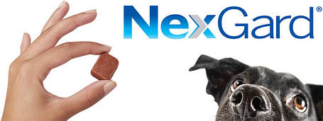 NexGar