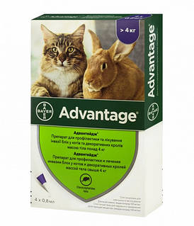 Краплі від бліх Bayer Advantage 80 для котів і кошенят понад 4 кг (0.8мл)(ціна за піпетку)