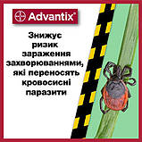 Краплі Bayer Advantix від заражень екто паразитами для собак 10-25 кг 1 піпетка, фото 4