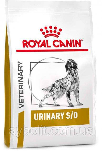 Сухий корм для дорослих собак Royal Canin Urinary S/O Dog 2 кг