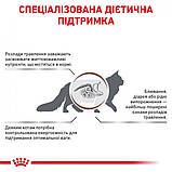 Лікувальний сухий корм для котів Royal Canin Gastro Intestinal при порушеннях травлення 2 кг + 4 паучи, фото 8
