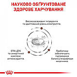 Лікувальний сухий корм для котів Royal Canin Gastro Intestinal при порушеннях травлення 2 кг + 4 паучи, фото 9
