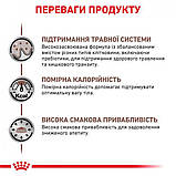 Лікувальний сухий корм для котів Royal Canin Gastro Intestinal при порушеннях травлення 2 кг + 4 паучи, фото 3