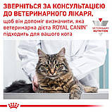 Лікувальний сухий корм для котів Royal Canin Gastro Intestinal при порушеннях травлення 2 кг + 4 паучи, фото 4