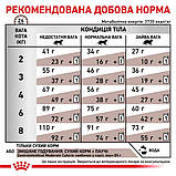 Лікувальний сухий корм для котів Royal Canin Gastro Intestinal при порушеннях травлення 2 кг + 4 паучи, фото 7
