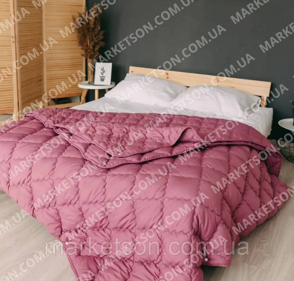 Ковдра 4 сезони зима літо євро розмір 200х220